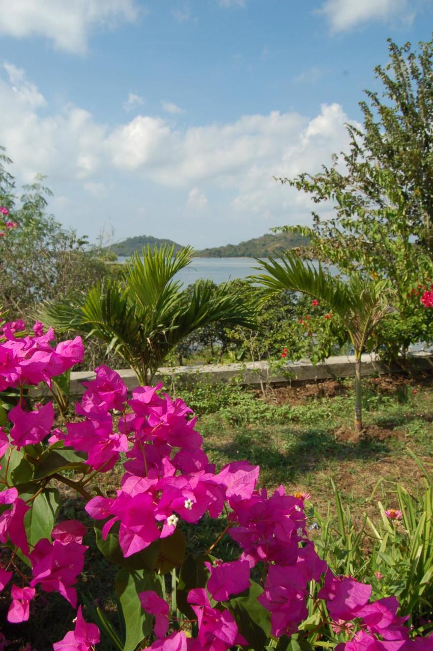Lombok Villas, Villa Paopao Labuhanpoh Extérieur photo